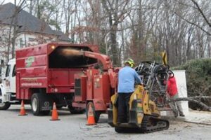Emergency Tree Services in Peachtree Corners GA